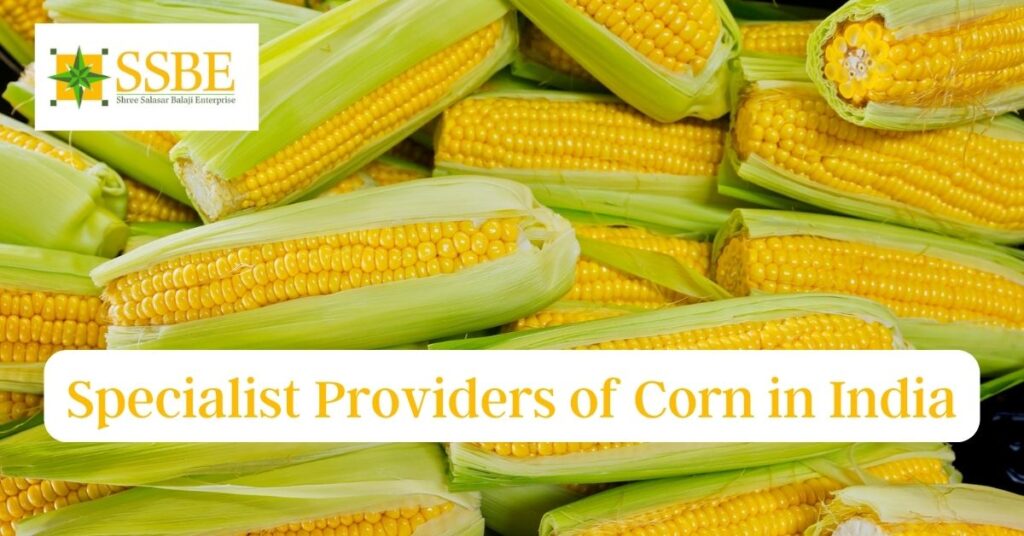 Specialist Providers of Corn in India