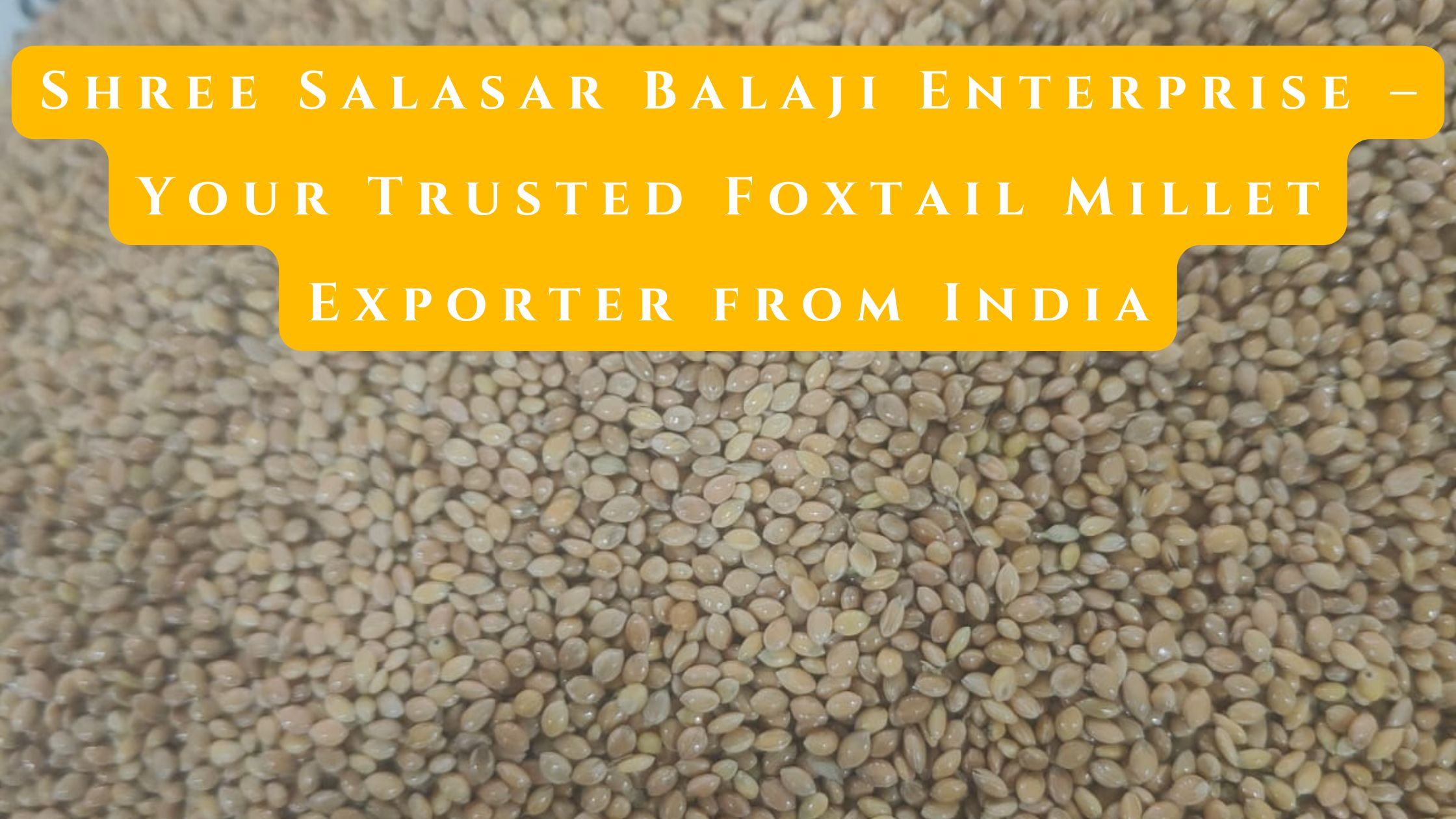 Foxtail Millet