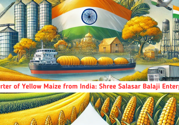 Exporter of Yellow Maize from India