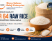 ir 64 raw rice exporters